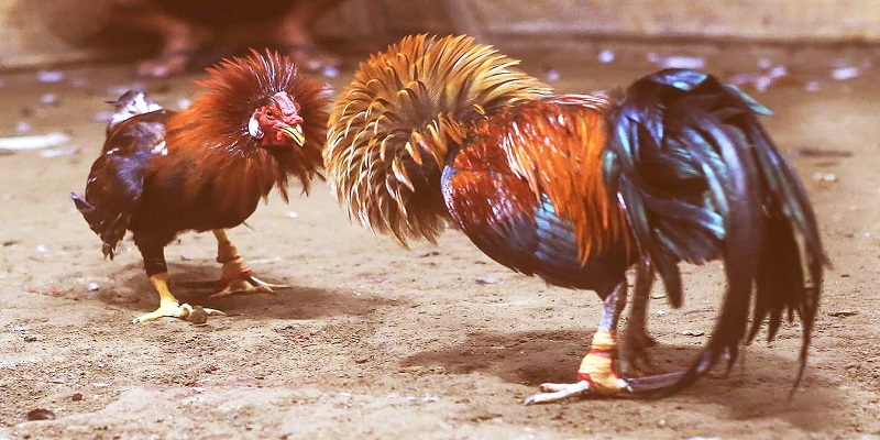 Cổng game 8Kbet cực kỳ uy tín và an toàn