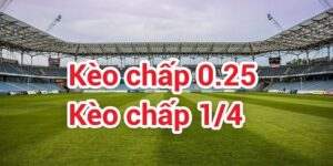 Giải thích tỷ lệ kèo chấp 0.25